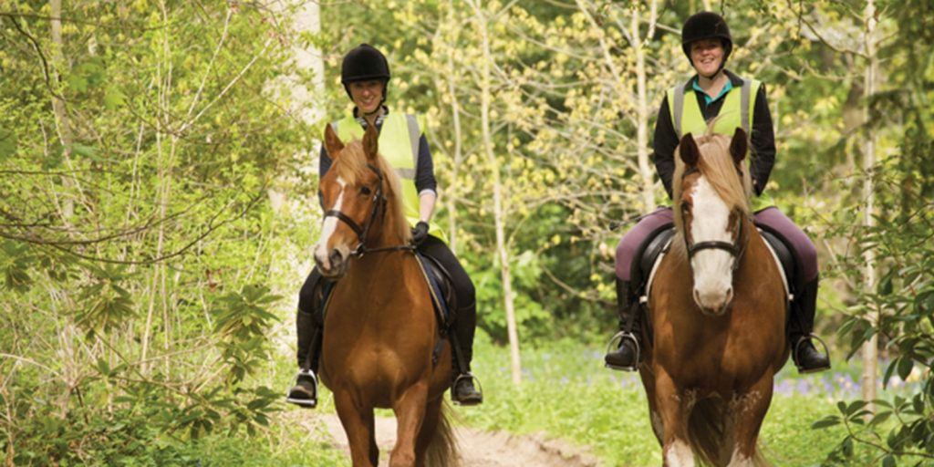 Forestry Commission Case Study